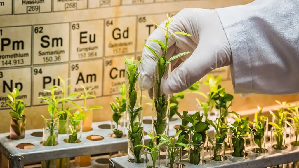Está cientificamente provado que os produtos biológicos são melhores para a saúde?