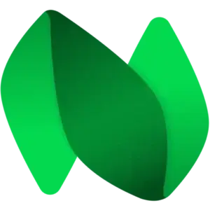 N magazine logo