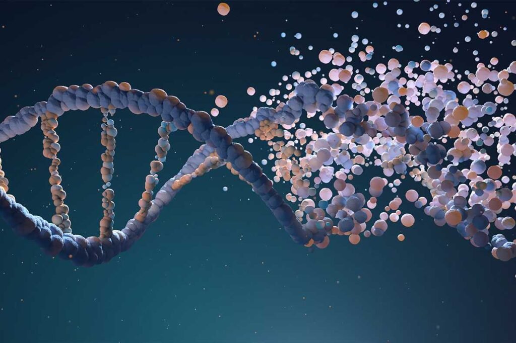 fitas de dna